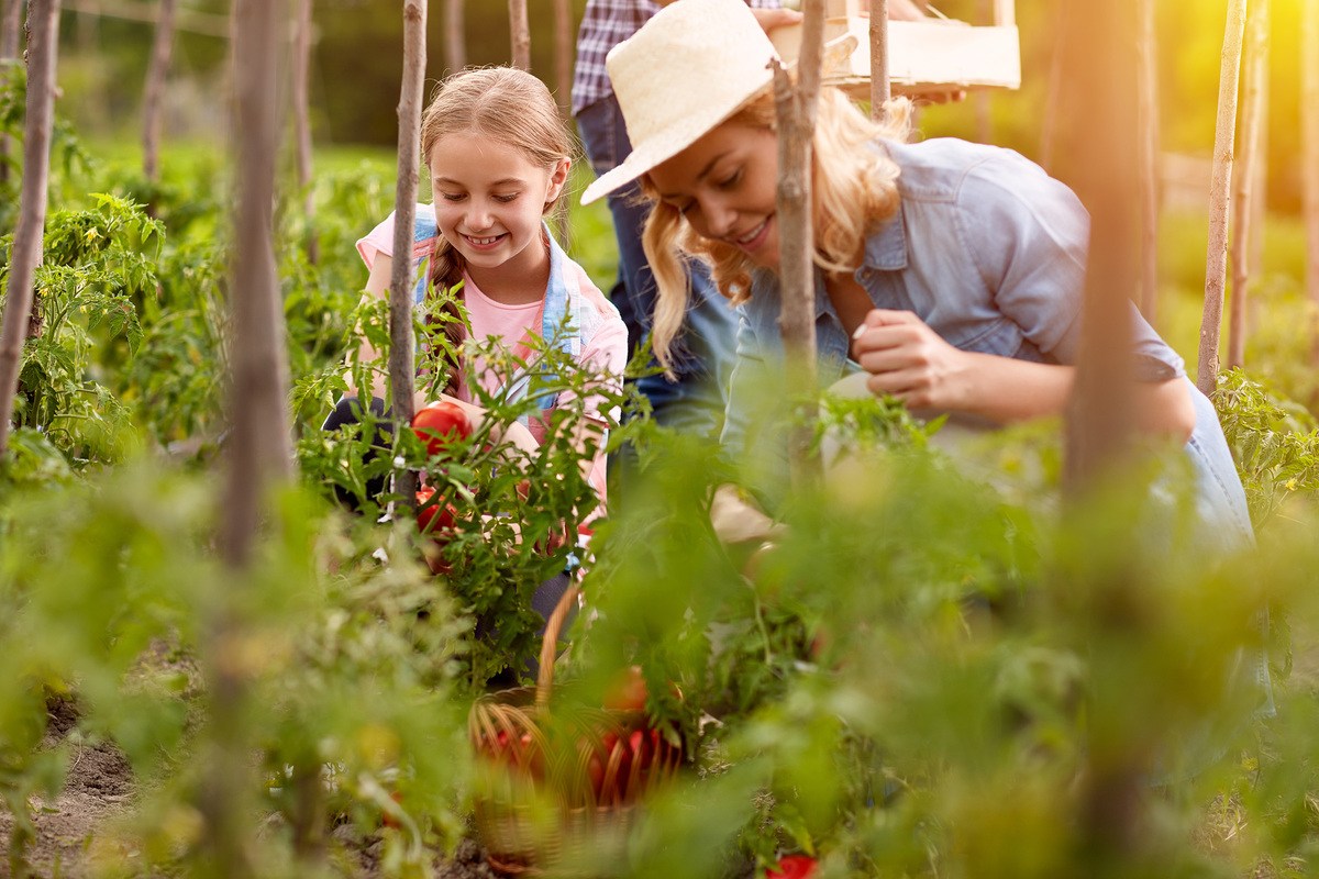 Le Jardinage : tous les bienfaits du jardin sur la santé - IRCEM