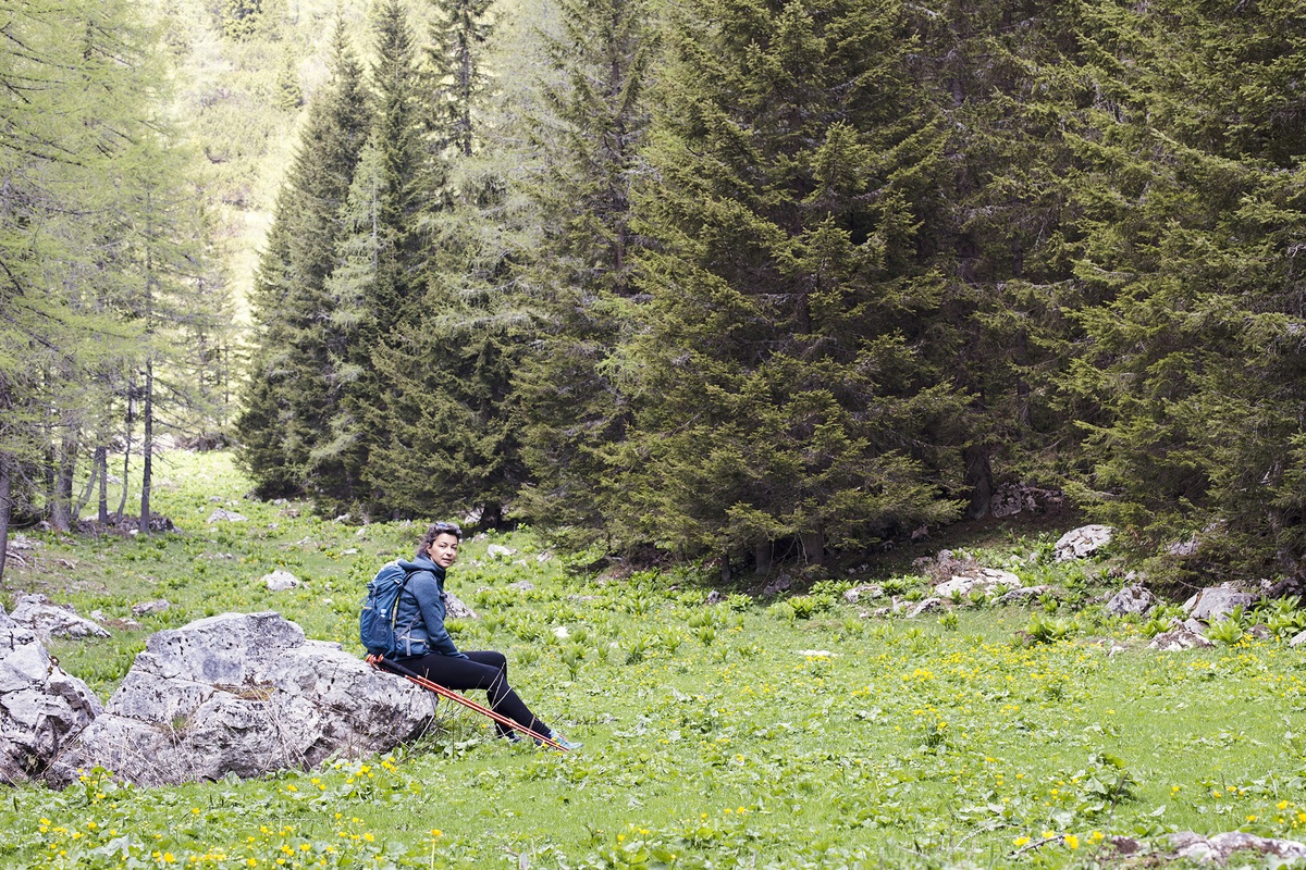 The science of forest bathing: 5 ways it can boost health and