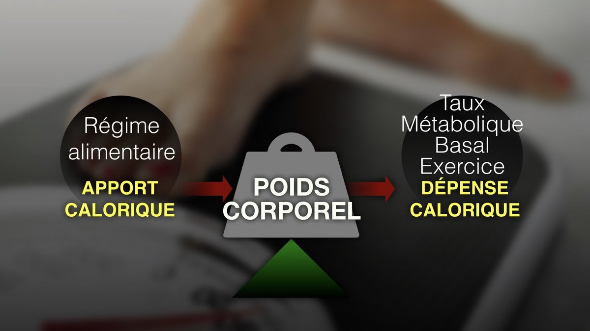 Le premier pas vers la maîtrise du poids mieux comprendre les