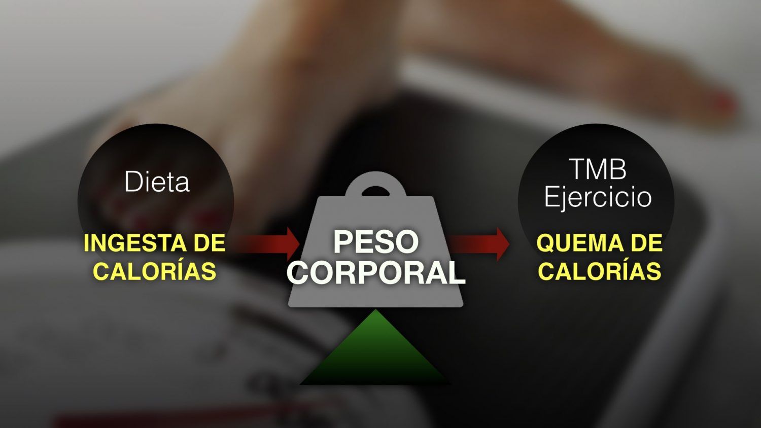 Entender cómo operan las calorías es su primer paso para controlar su peso Ask The Scientists