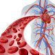 Blood heart circulation