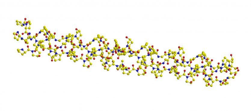 Molecular structure of structural protein collagen - main component of connective tissue