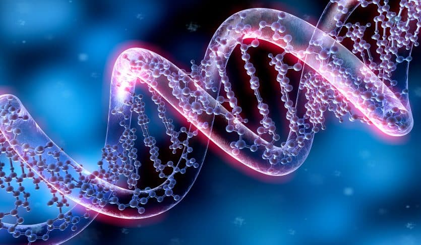 DNA strands representing our deep dive into genetics