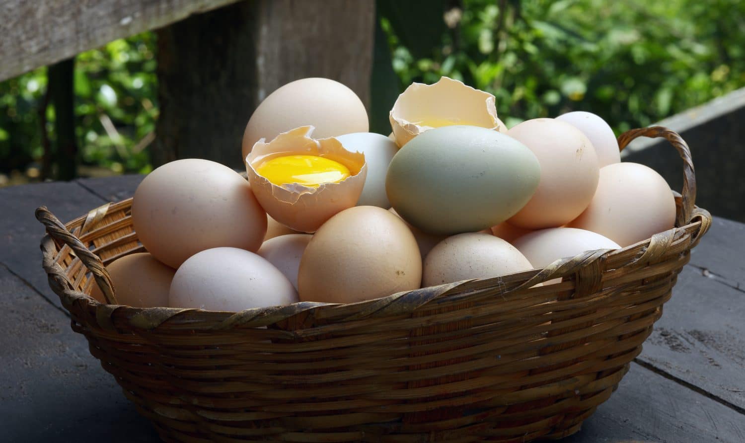 Choline Ask The Scientists