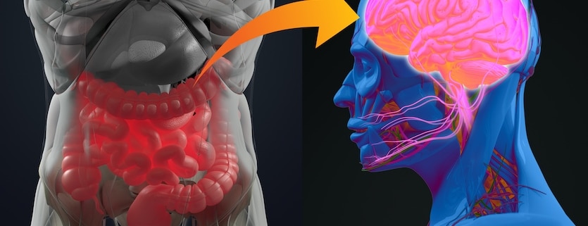 Gut-brain connection