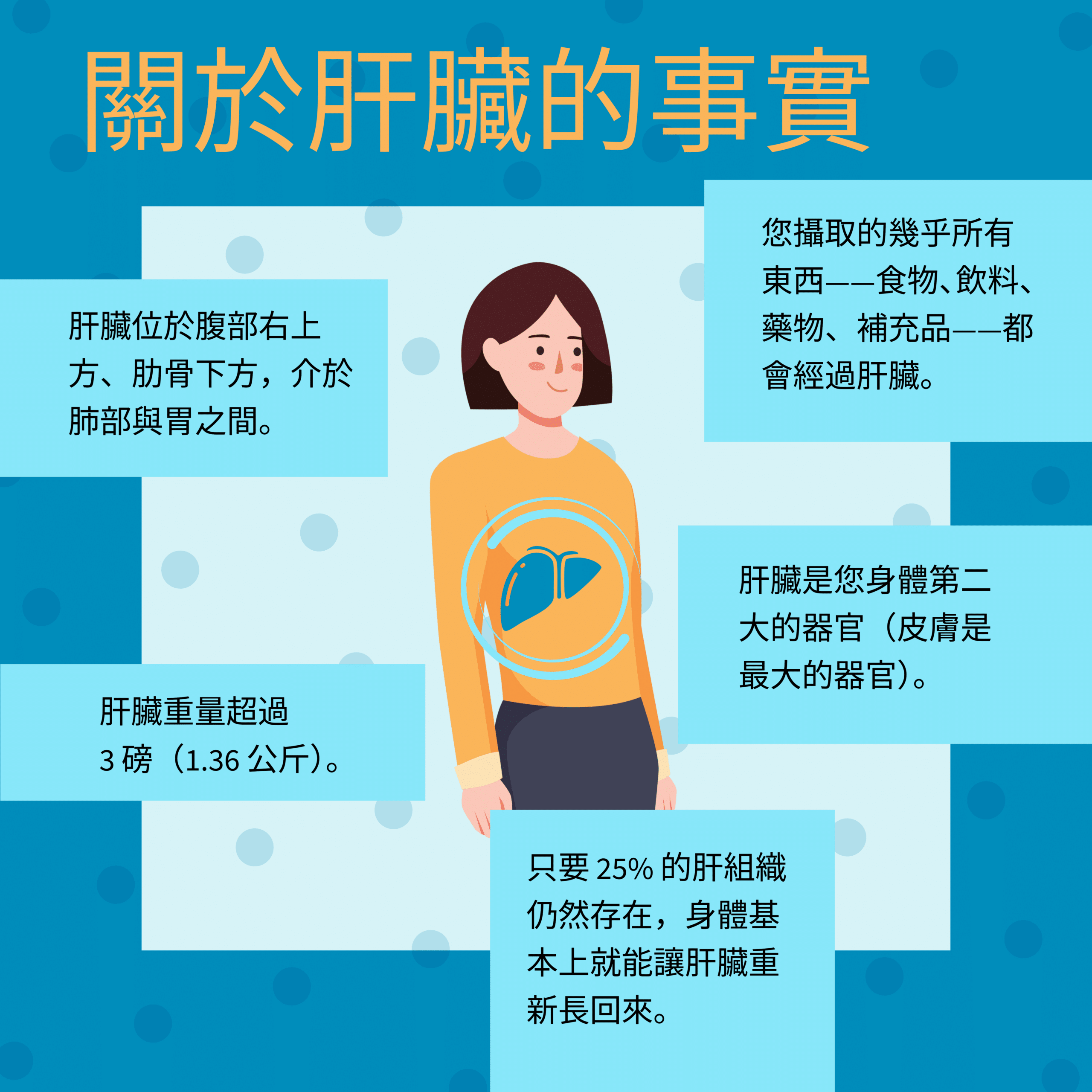 Liver Facts-5-CHT